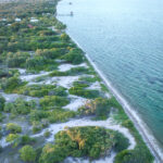 listing image thumbnail with ID 36447